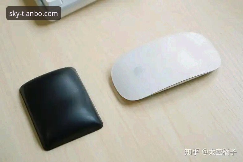 天博体育平台老用户实测：最新版本对比与使用心得，这些细节你必须知道