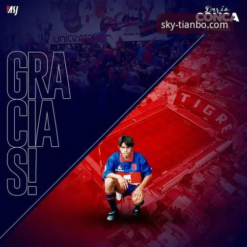 从巅峰到审判：解码恒大足球兴衰与商业合规的警示指南